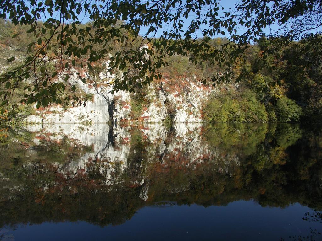 B&B Plitvice Lakes Villa Irene Seliste Dreznicko Bagian luar foto