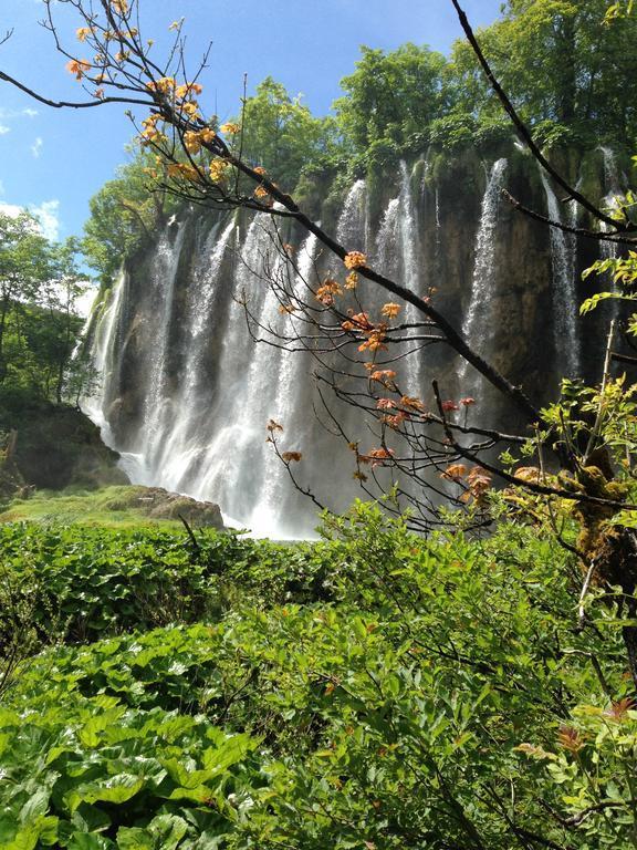 B&B Plitvice Lakes Villa Irene Seliste Dreznicko Bagian luar foto
